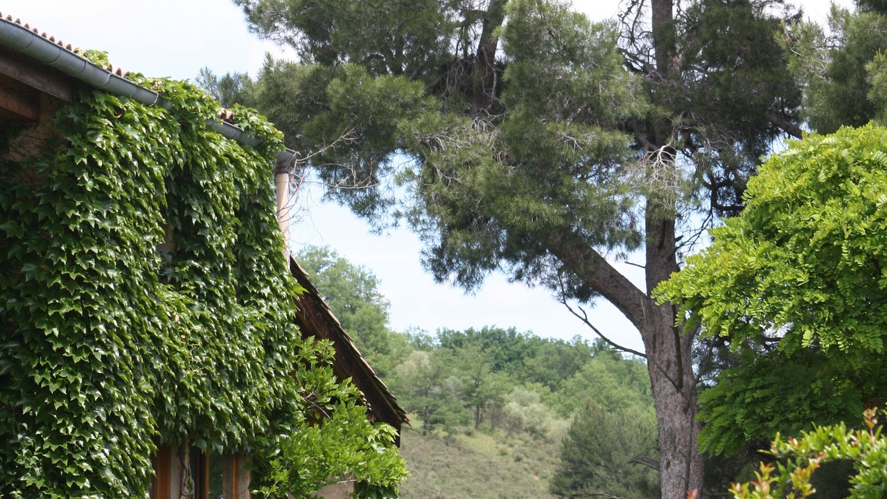 Photo of Outdoor in Campagne-sur-Aude