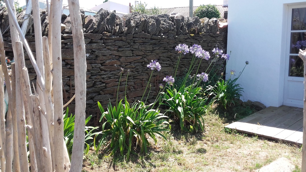 Photo of Outdoor in Ile d'Yeu