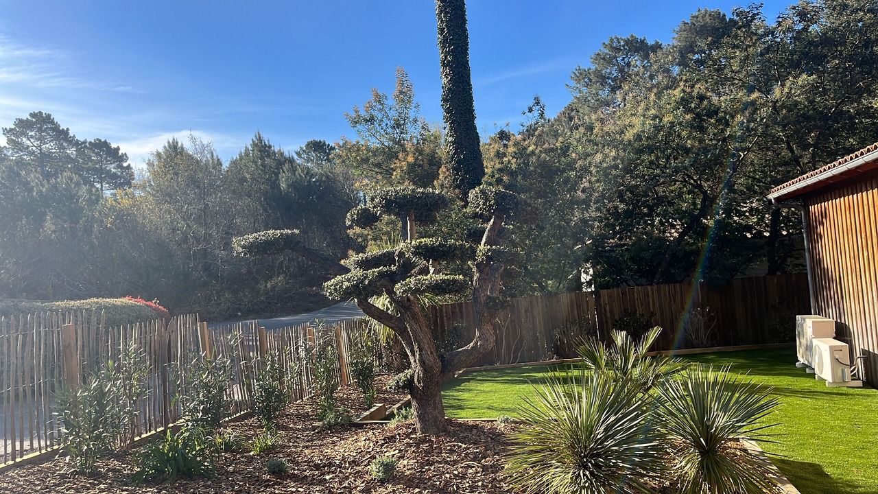 Photo of Outdoor in Biscarrosse