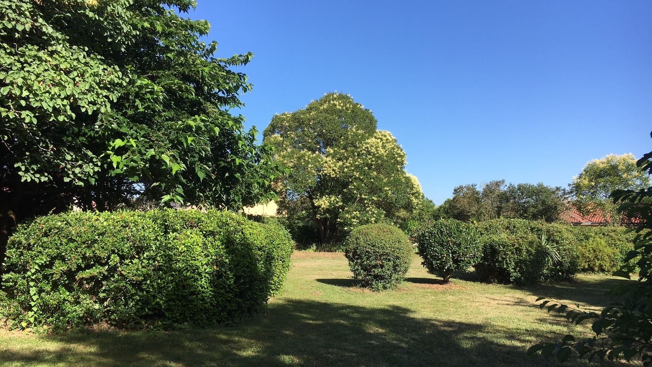 Photo of Outdoor in Florentin
