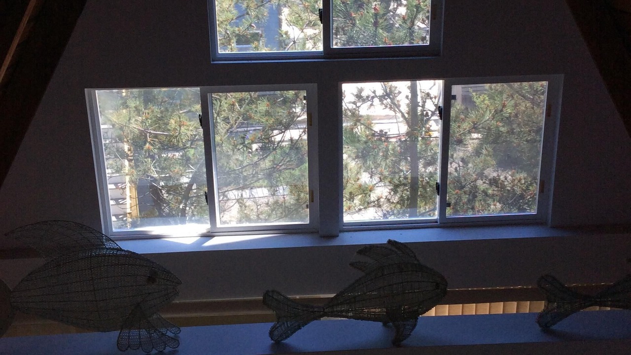 Photo of Others in Harvey Cedars