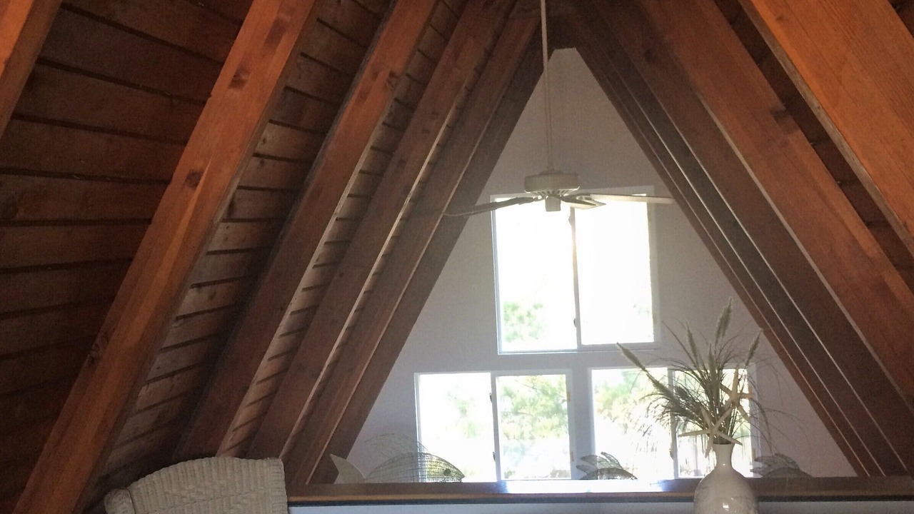 Photo of Others in Harvey Cedars