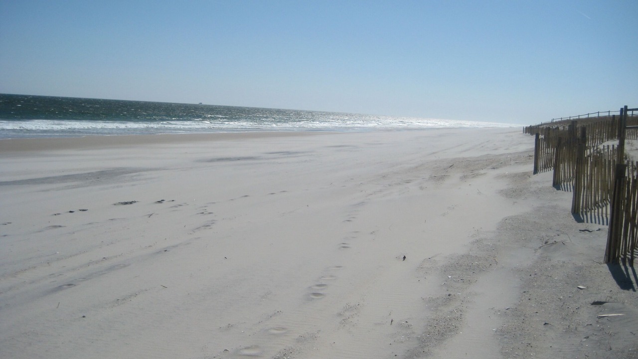 Photo of Others in Harvey Cedars