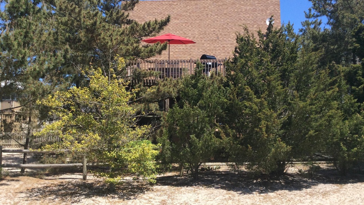 Photo of Outdoor in Harvey Cedars