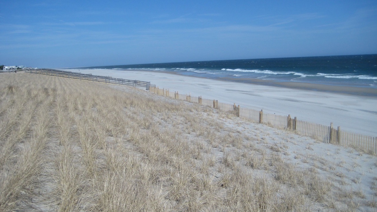 Photo of Others in Harvey Cedars