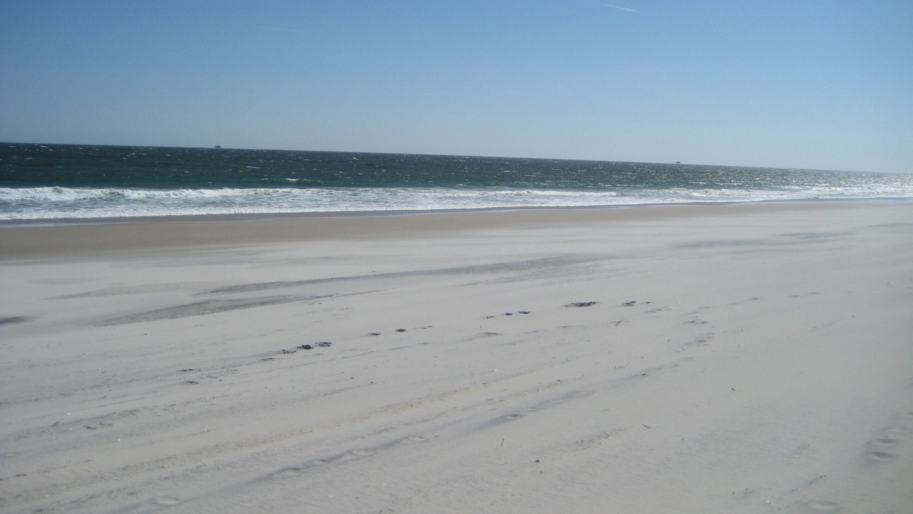 Photo of Others in Harvey Cedars