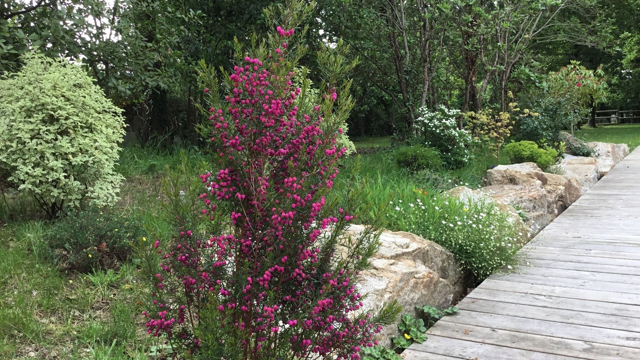 Photo of Outdoor in Presqu'ile de Guerande Atlantique