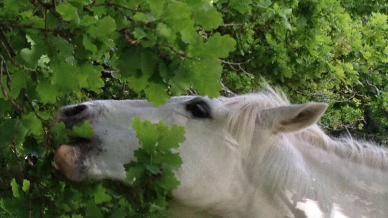 Photo of Outdoor in Presqu'ile de Guerande Atlantique