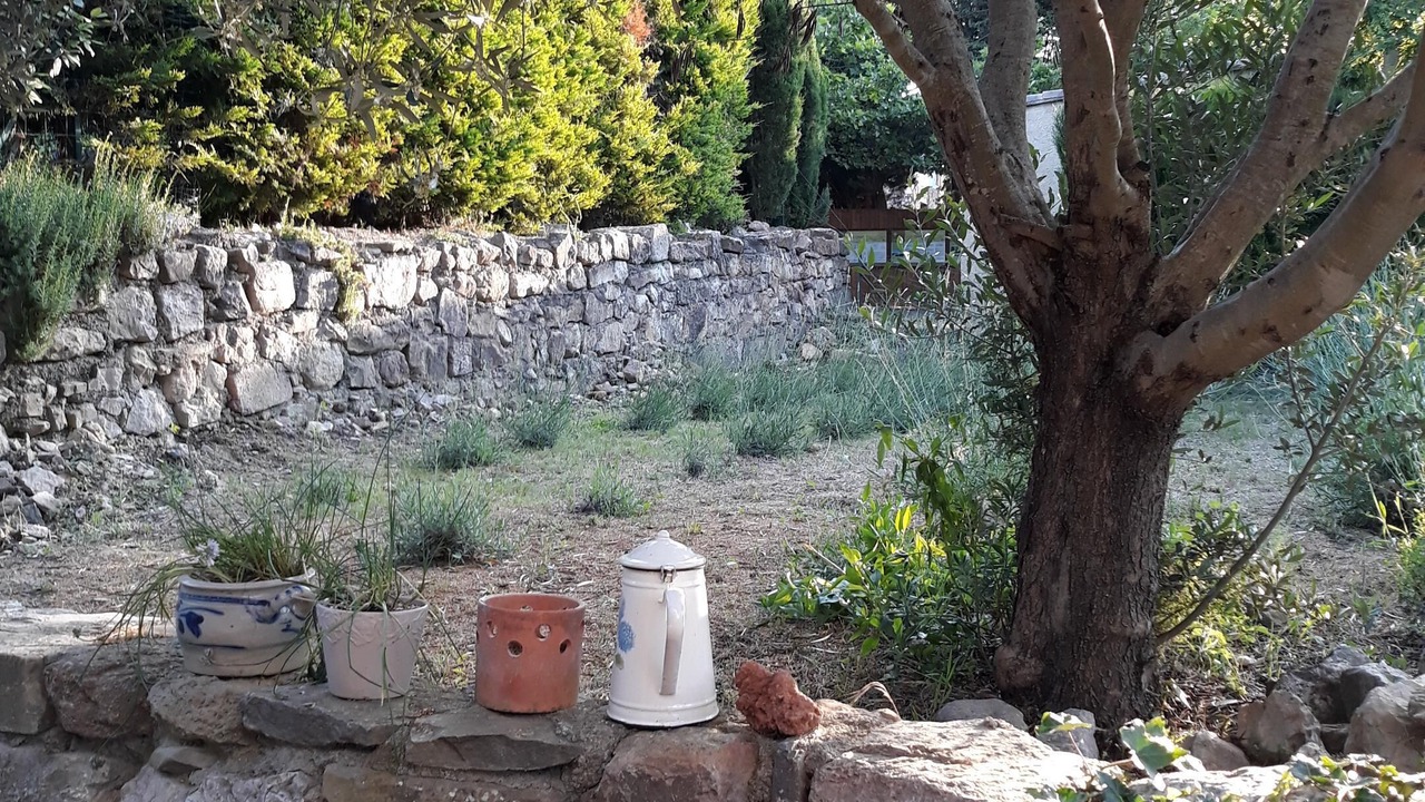Photo of Outdoor in Albas