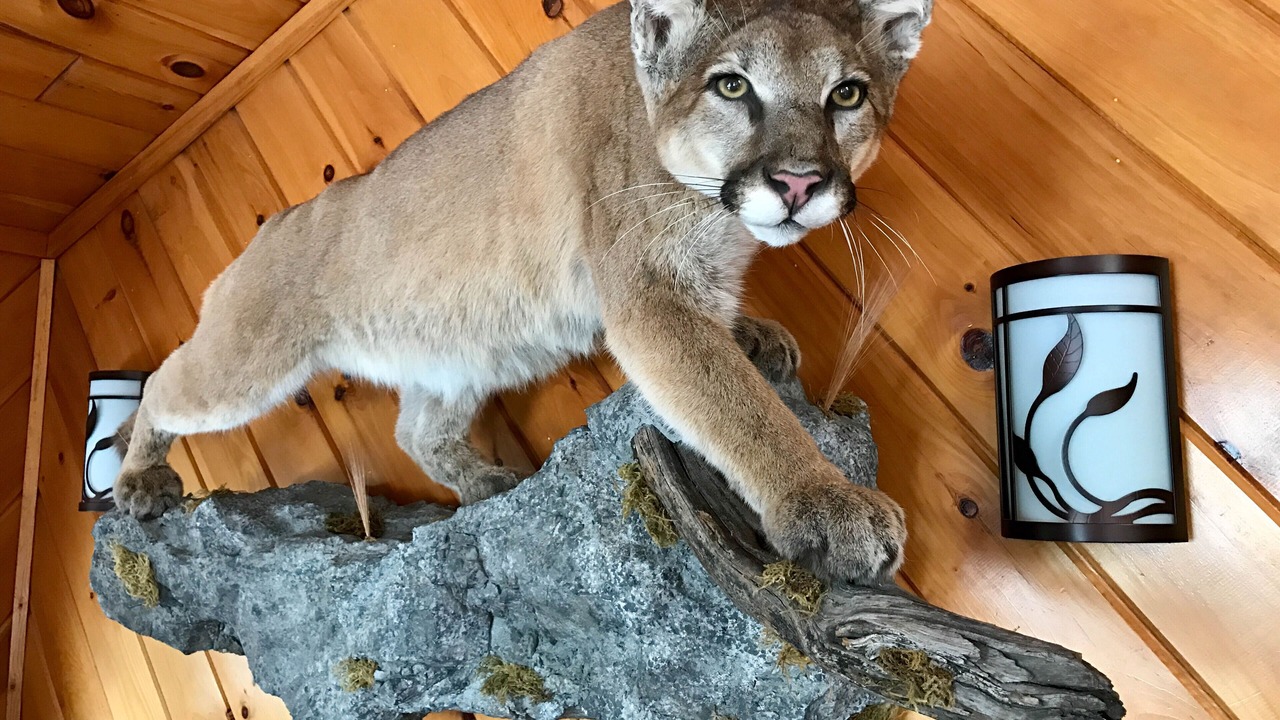 Photo of Others in Danby