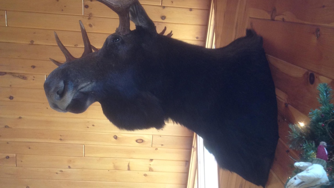 Photo of Others in Danby