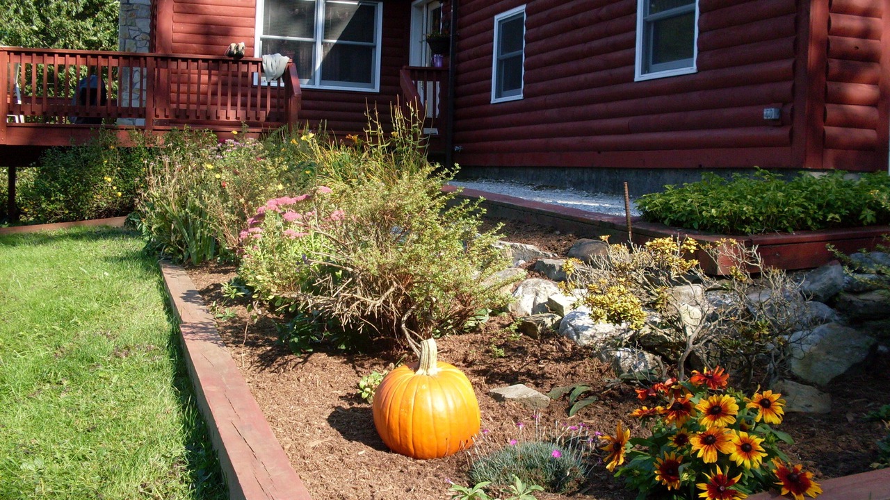 Photo of Others in Danby