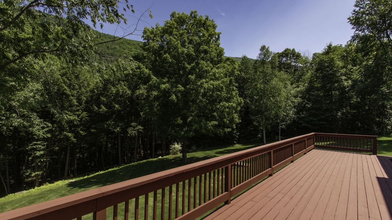 Photo of Outdoor in Danby