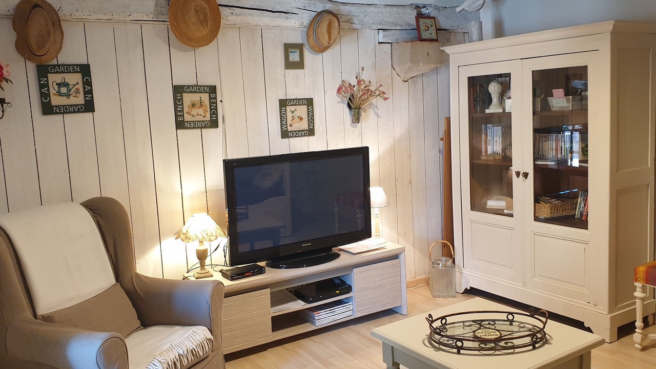 Photo of Livingroom in Theneuil