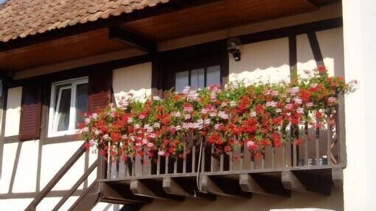 Photo of Outdoor in Wickerschwihr