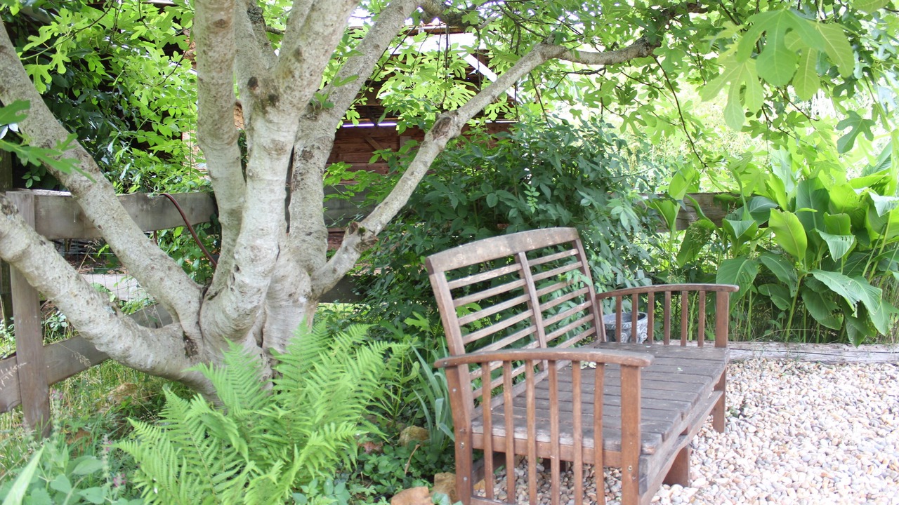 Photo of Outdoor in Sagelat