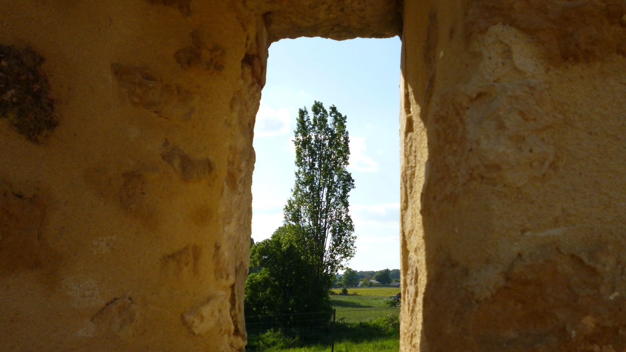 Photo of Others in Saint-Christophe-en-Champagne