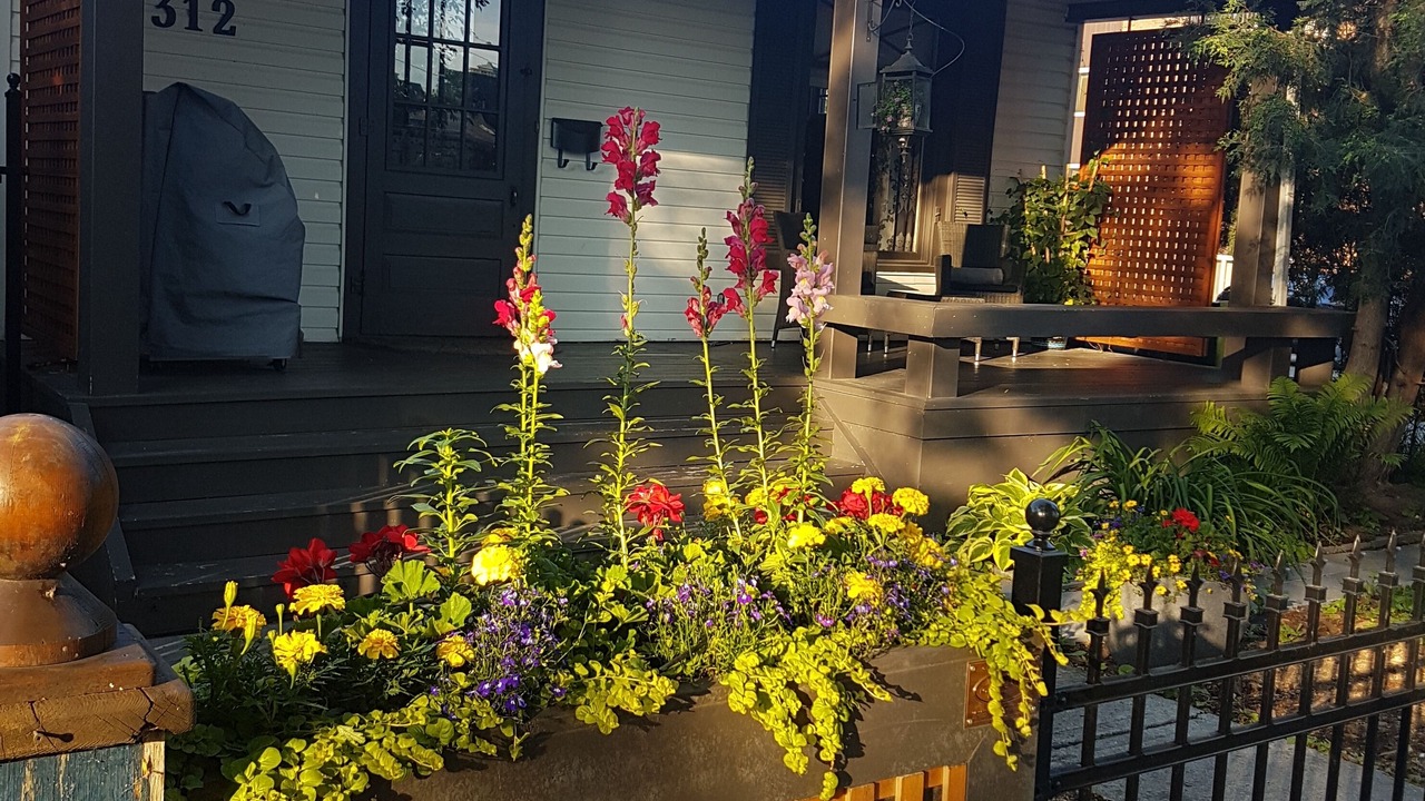 Photo of Outdoor in Sunnyside