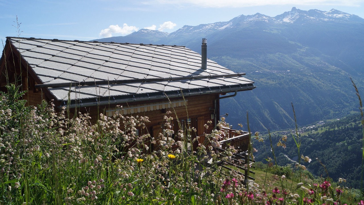 Photo of Outdoor in Heremence