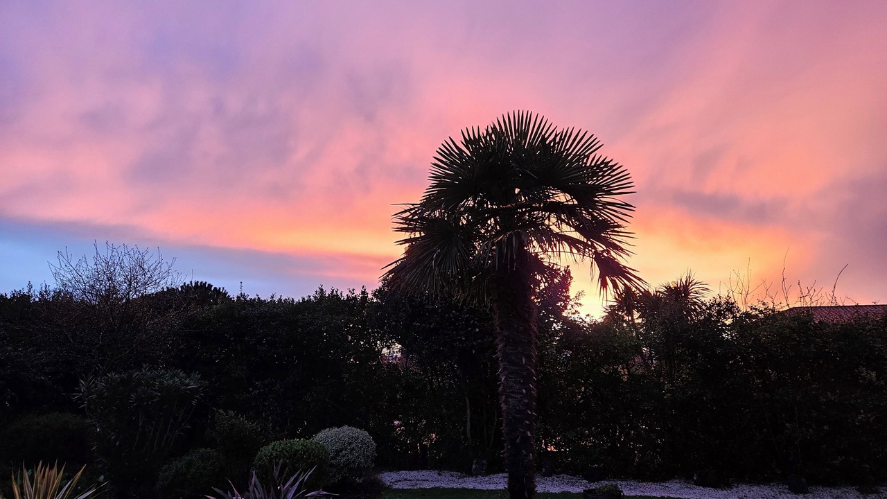 Photo of Outdoor in Pornic