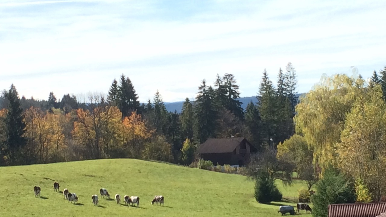 Photo of Others in Malbuisson