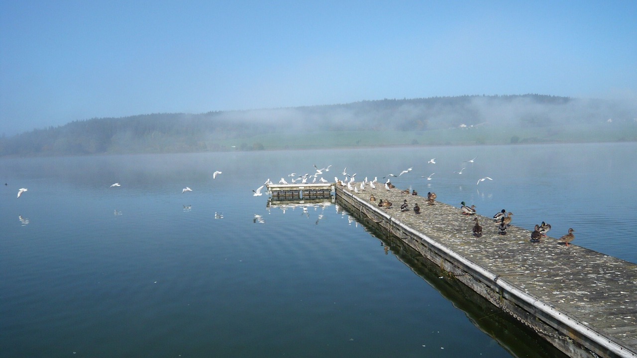 Photo of Others in Malbuisson