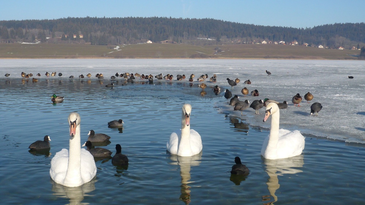 Photo of Others in Malbuisson