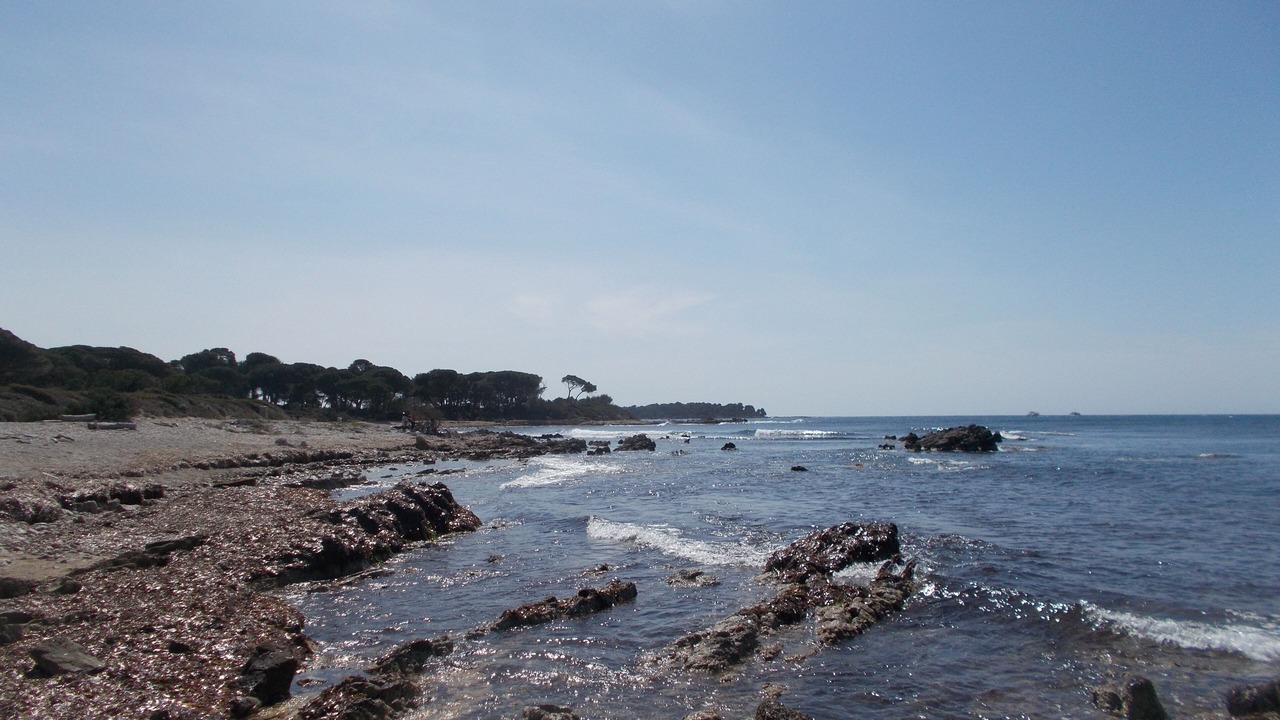 Photo of Others in Theoule-Superieur