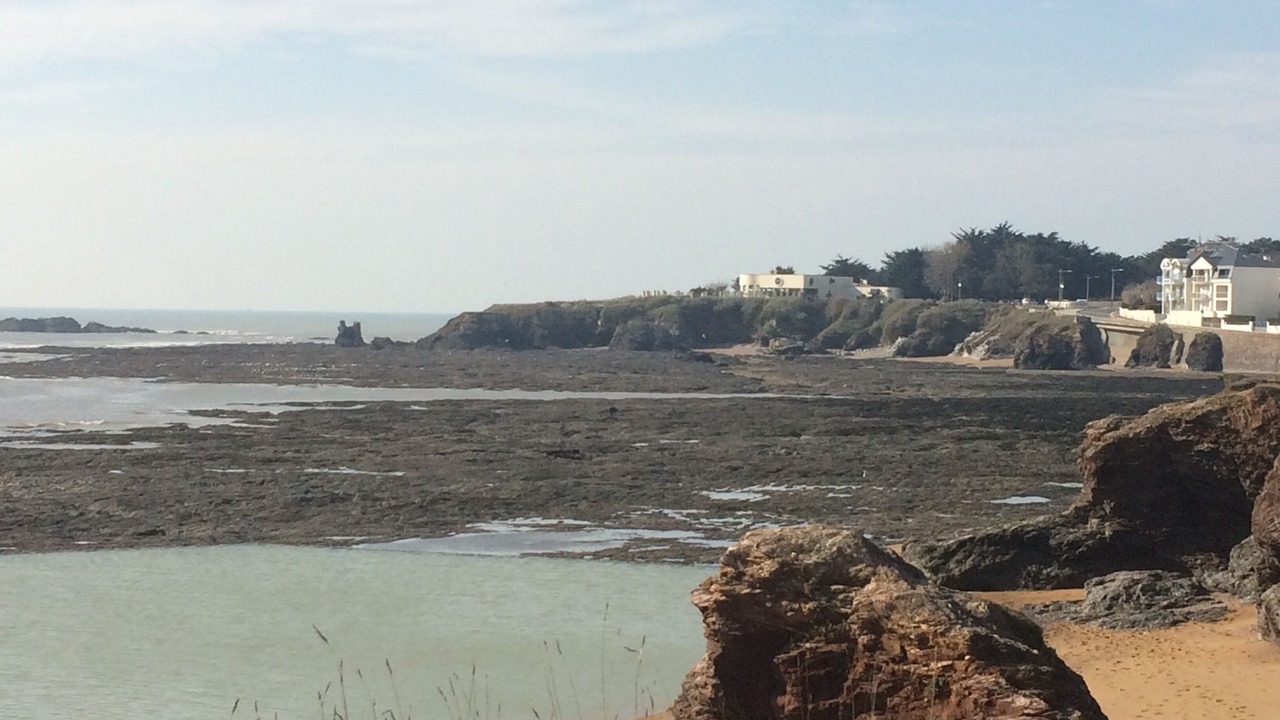 Photo of Others in Saint-Gilles-Croix-de-Vie