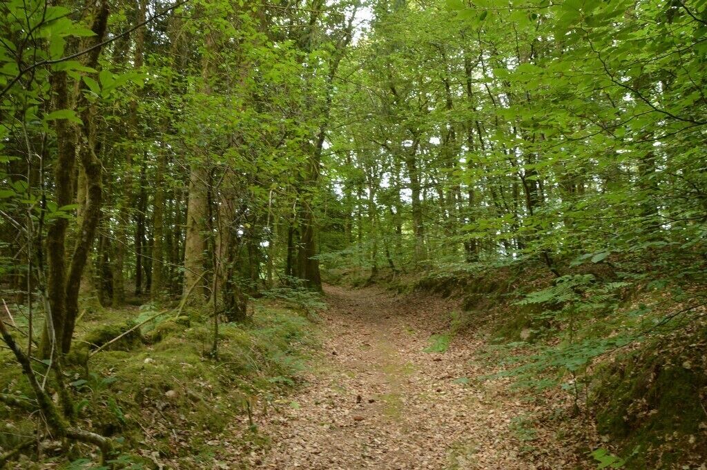 Photo of Outdoor in Espagnac