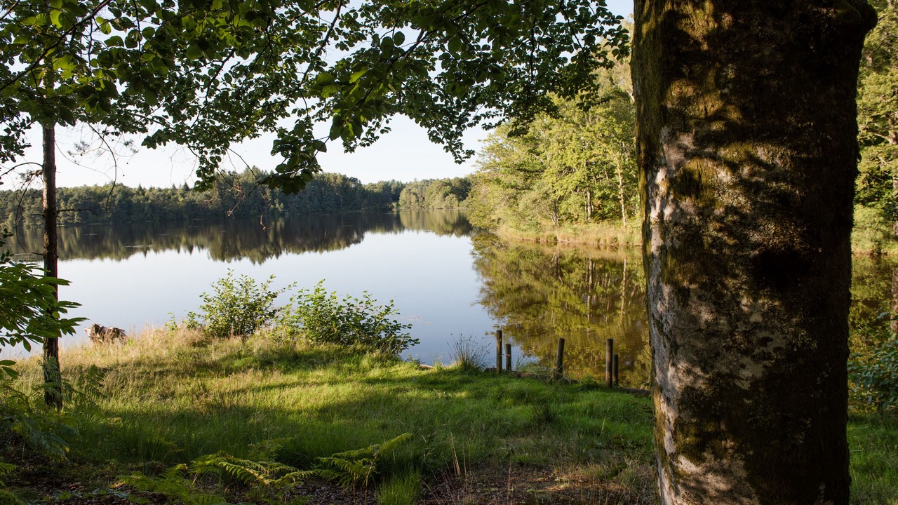 Photo of Outdoor in Espagnac