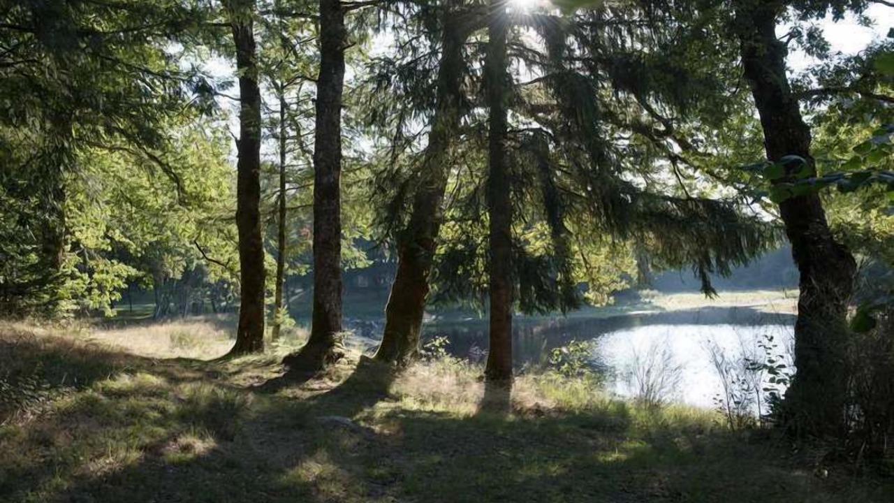 Photo of Outdoor in Espagnac