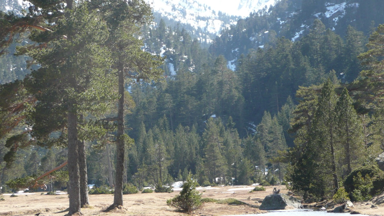 Photo of Outdoor in Cauterets