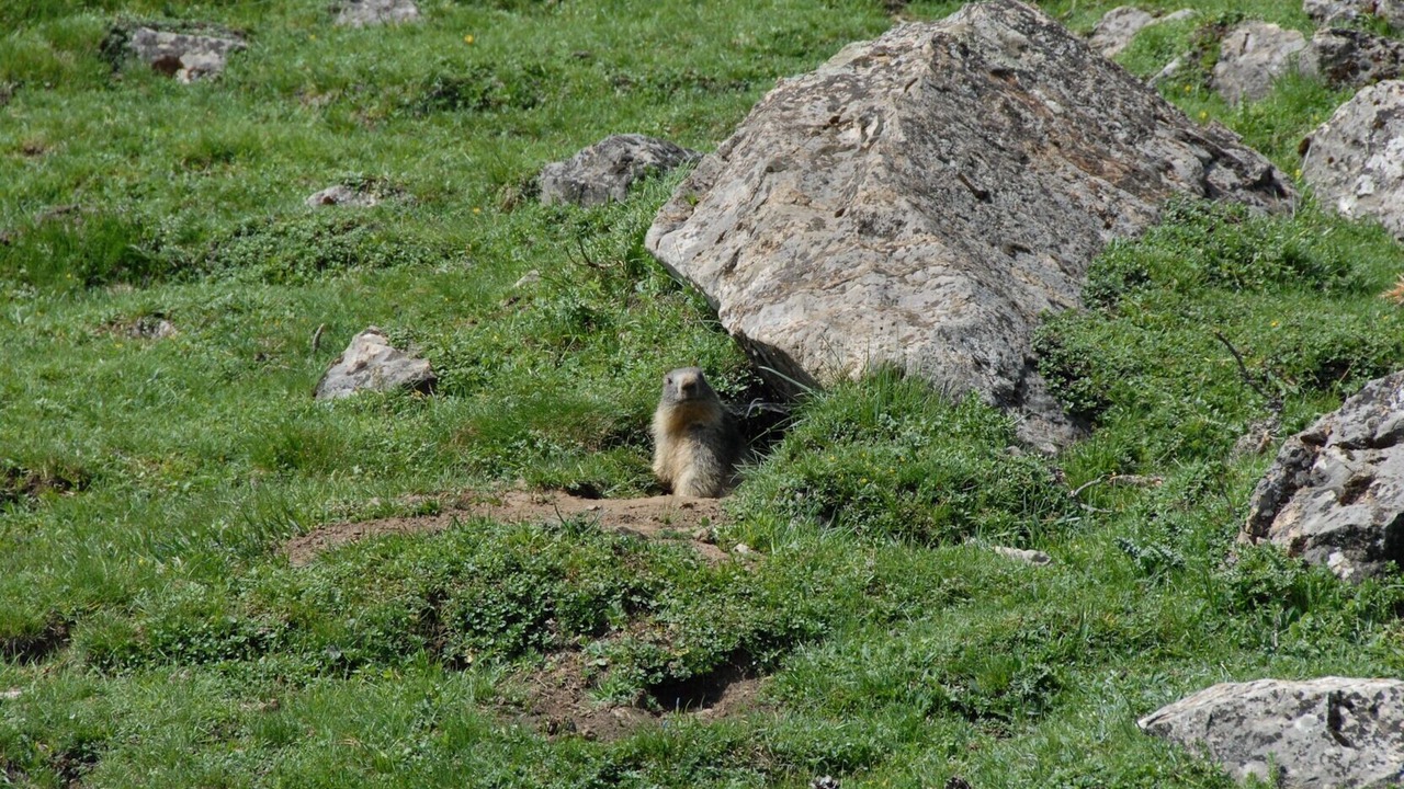 Photo of Outdoor in Peyragudes