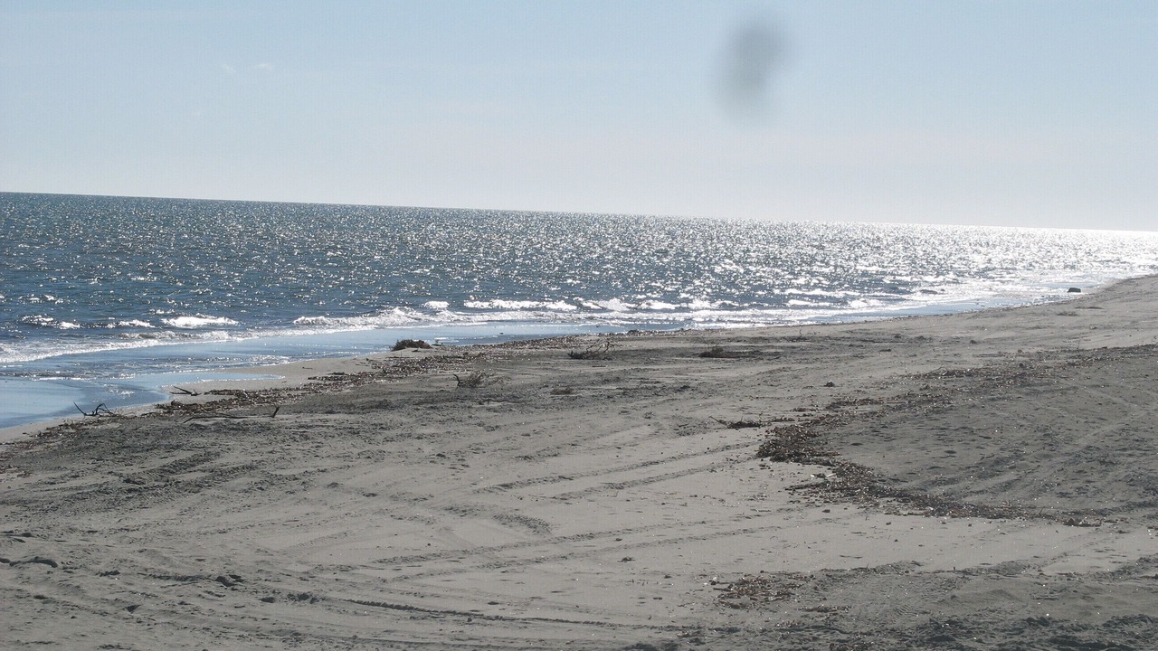 Photo of Others in Pineto