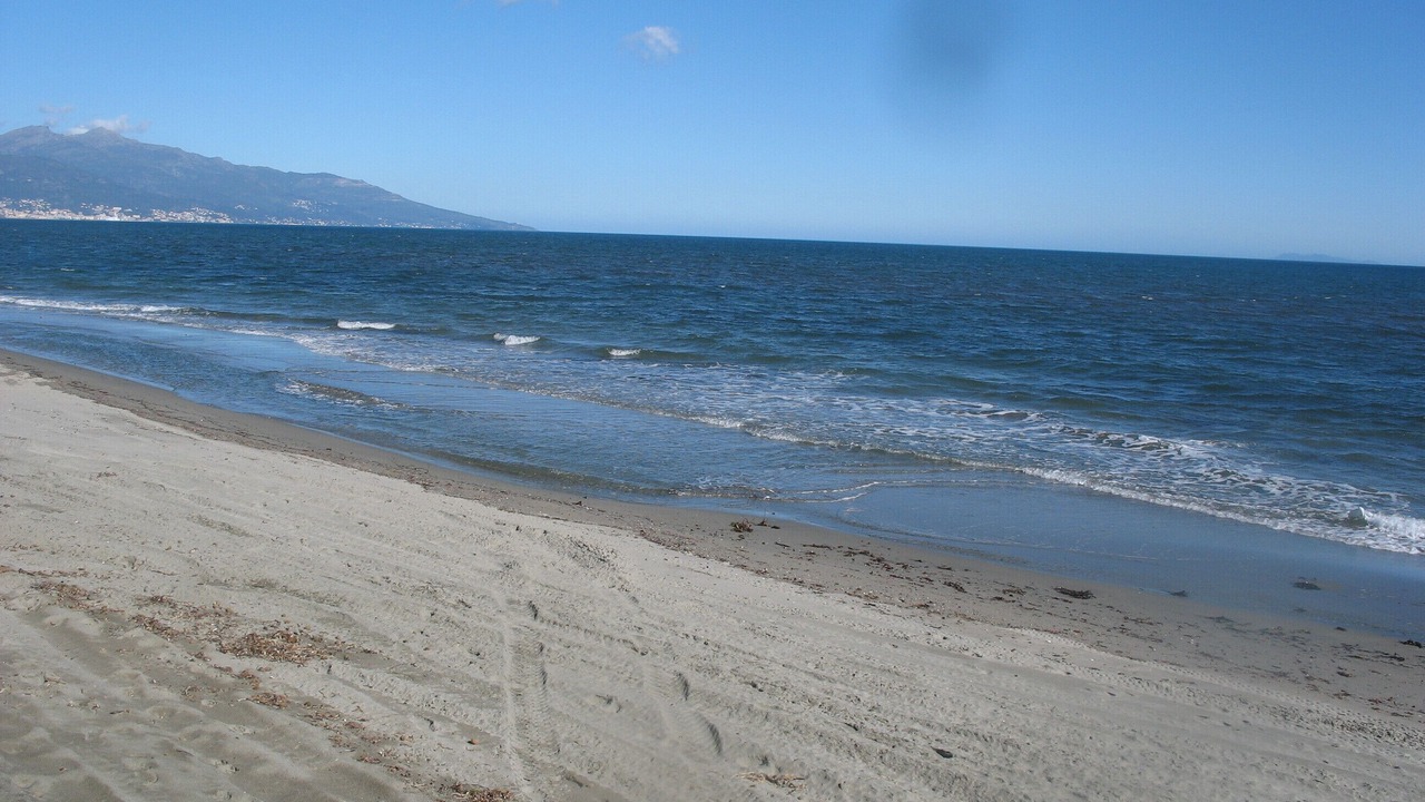 Photo of Others in Pineto