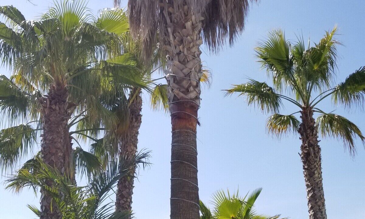 Photo of Outdoor in Montbazin
