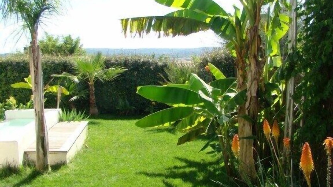 Photo of Outdoor in Montbazin