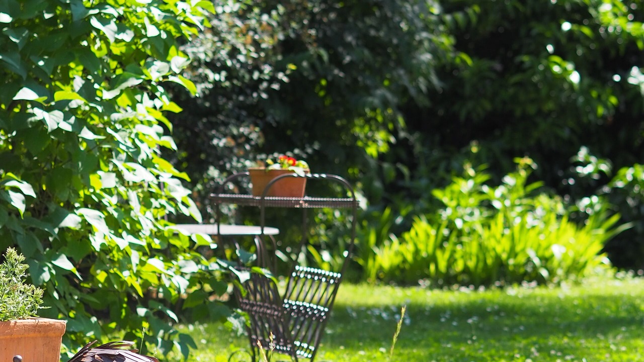 Photo of Outdoor in Tourrettes-sur-Loup