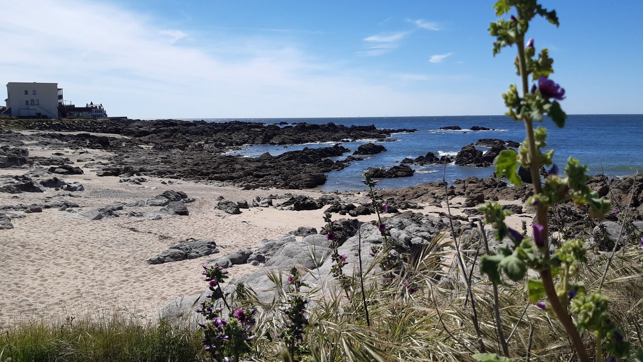 Photo of Others in Batz-sur-Mer