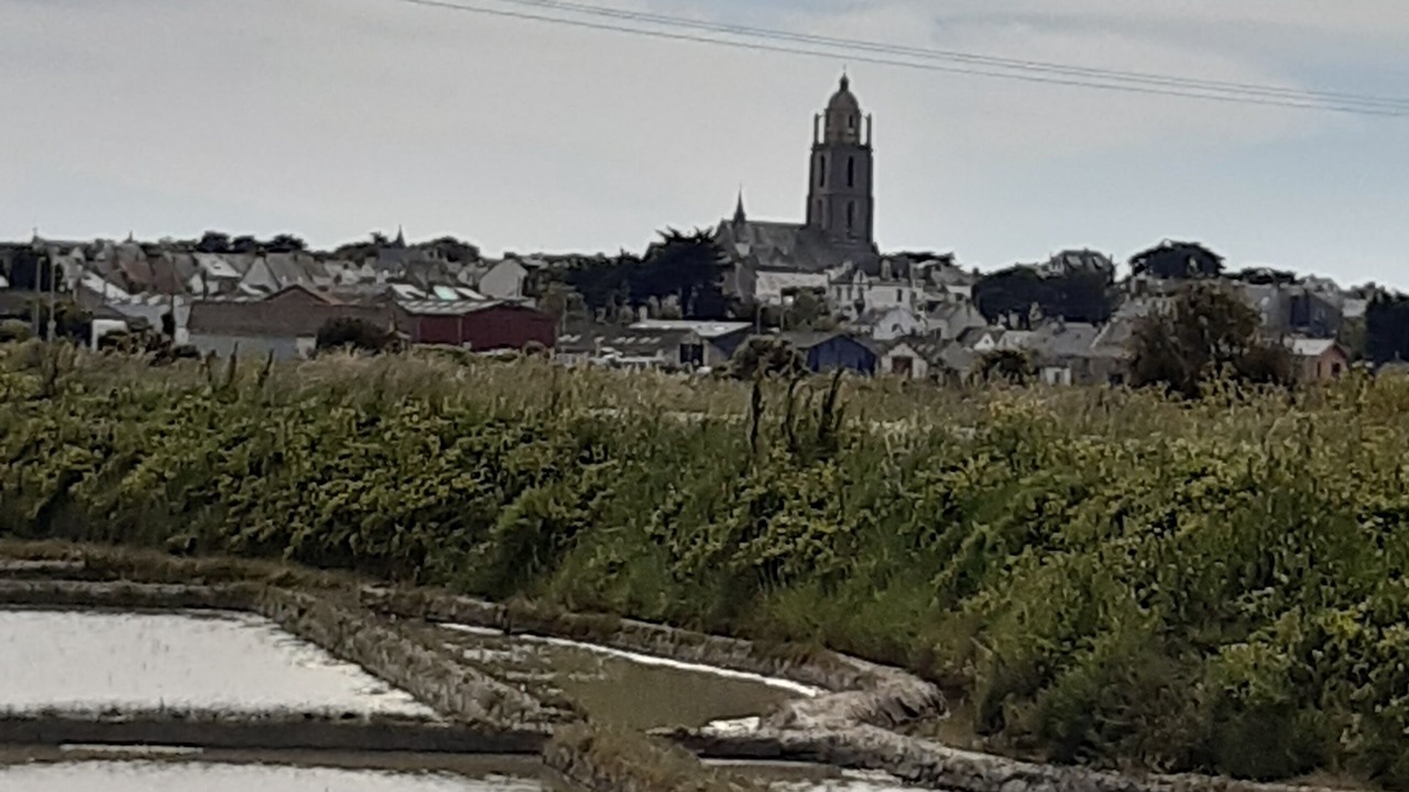 Photo of Others in Batz-sur-Mer