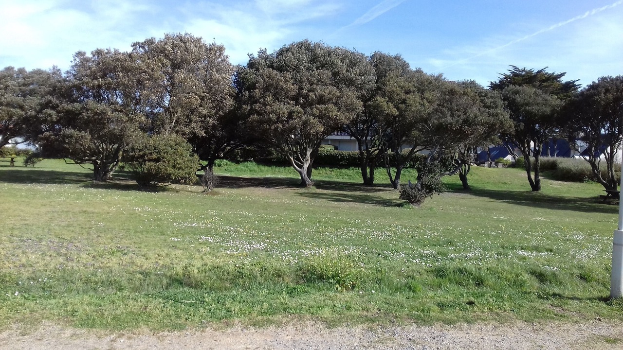 Photo of Outdoor in Batz-sur-Mer