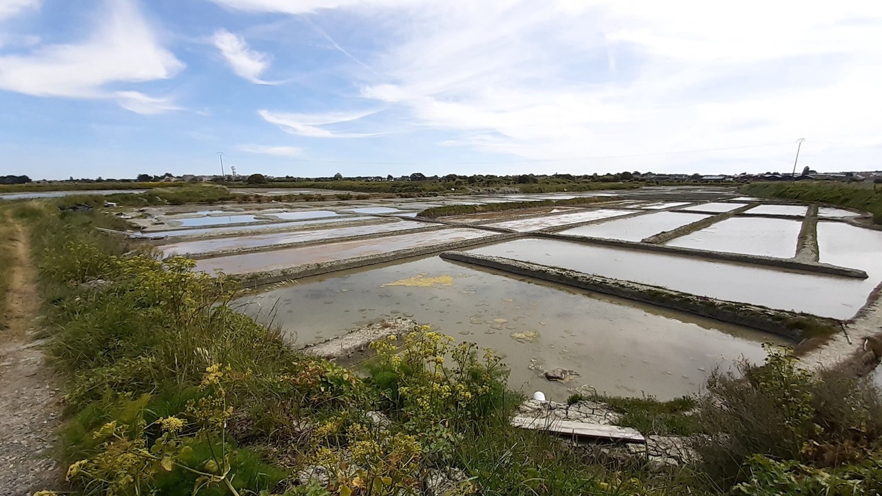 Photo of Others in Batz-sur-Mer