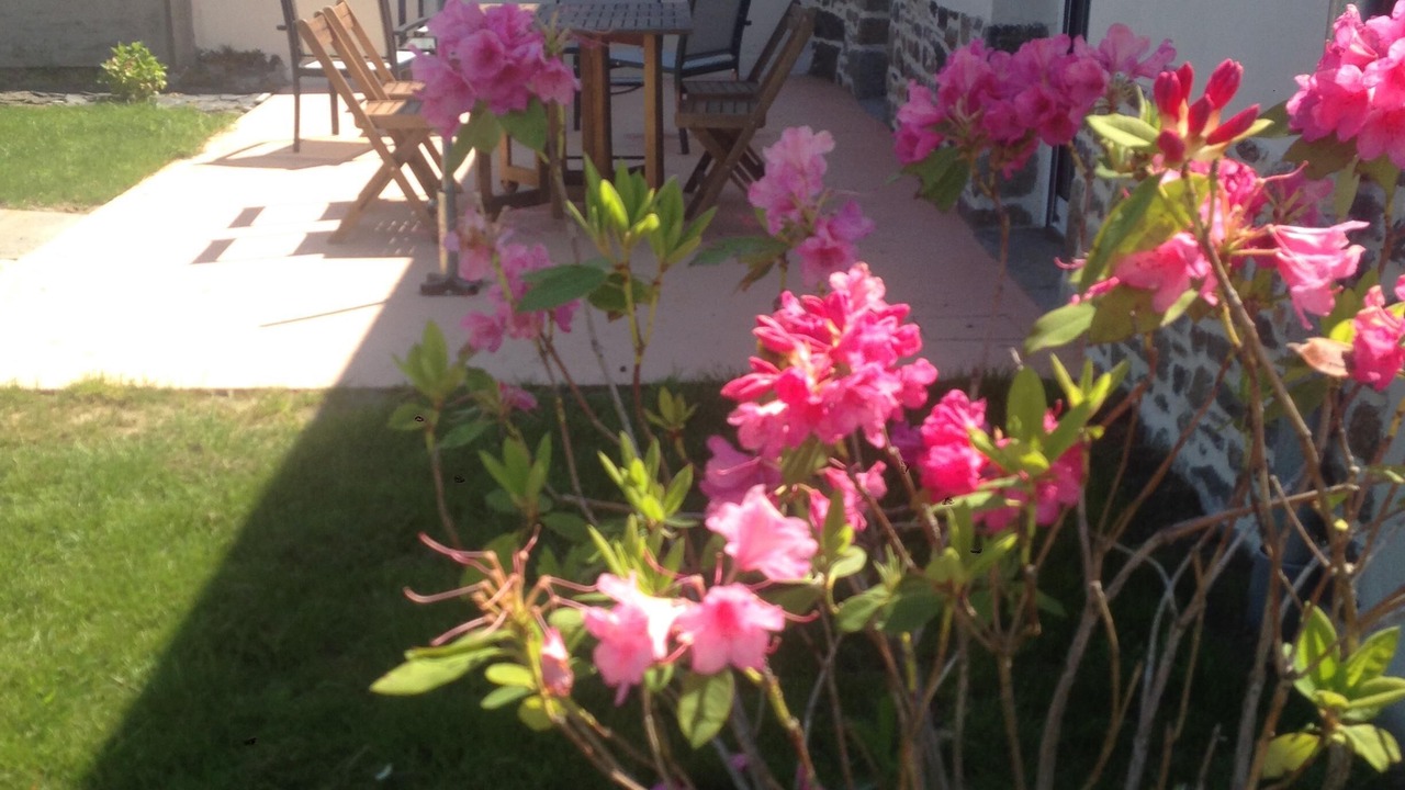Photo of Outdoor in Saint-Broladre