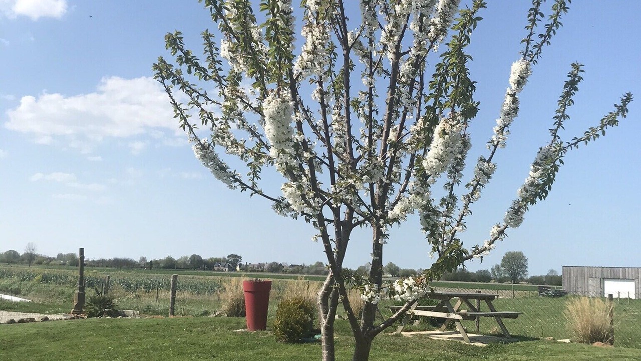 Photo of Outdoor in Saint-Broladre