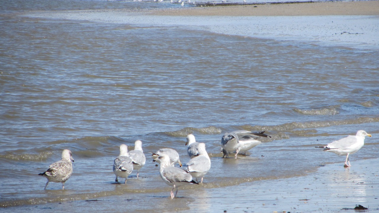 Photo of Others in L'Epine