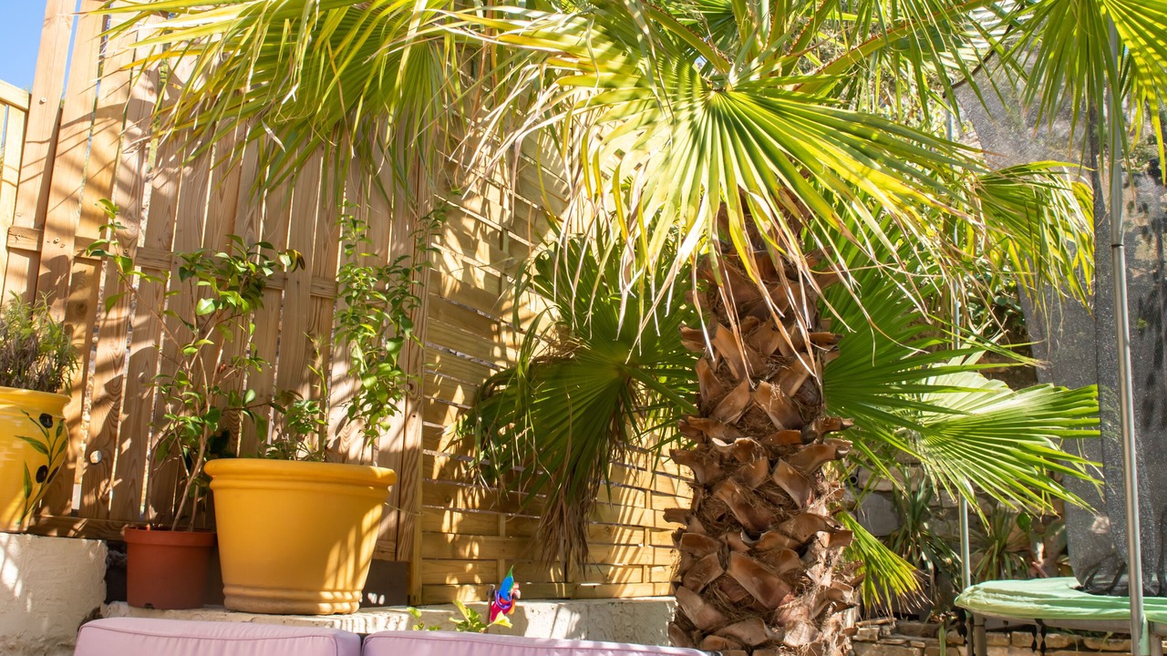 Photo of Outdoor in Roquefort-des-Corbieres