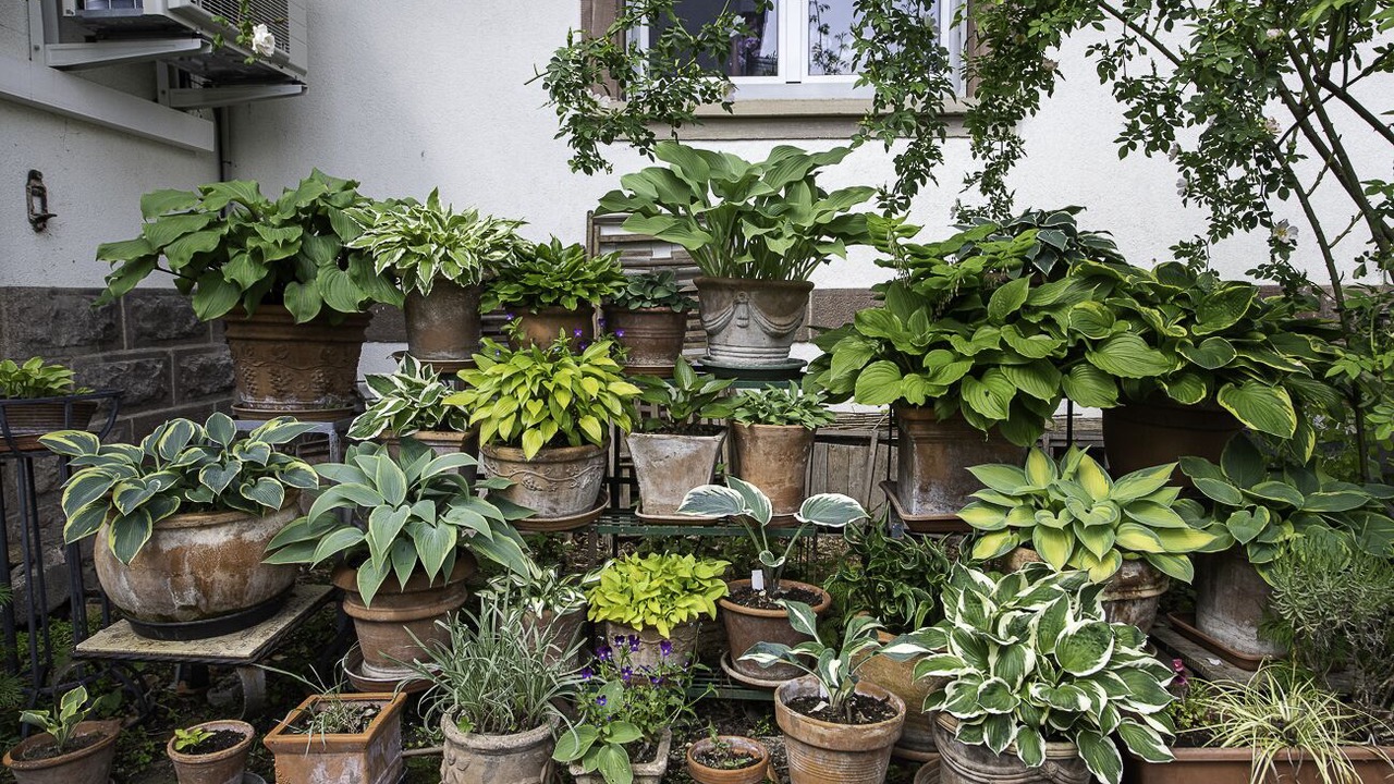 Photo of Outdoor in Eckbolsheim