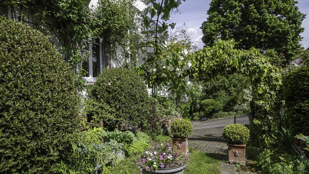Photo of Outdoor in Eckbolsheim