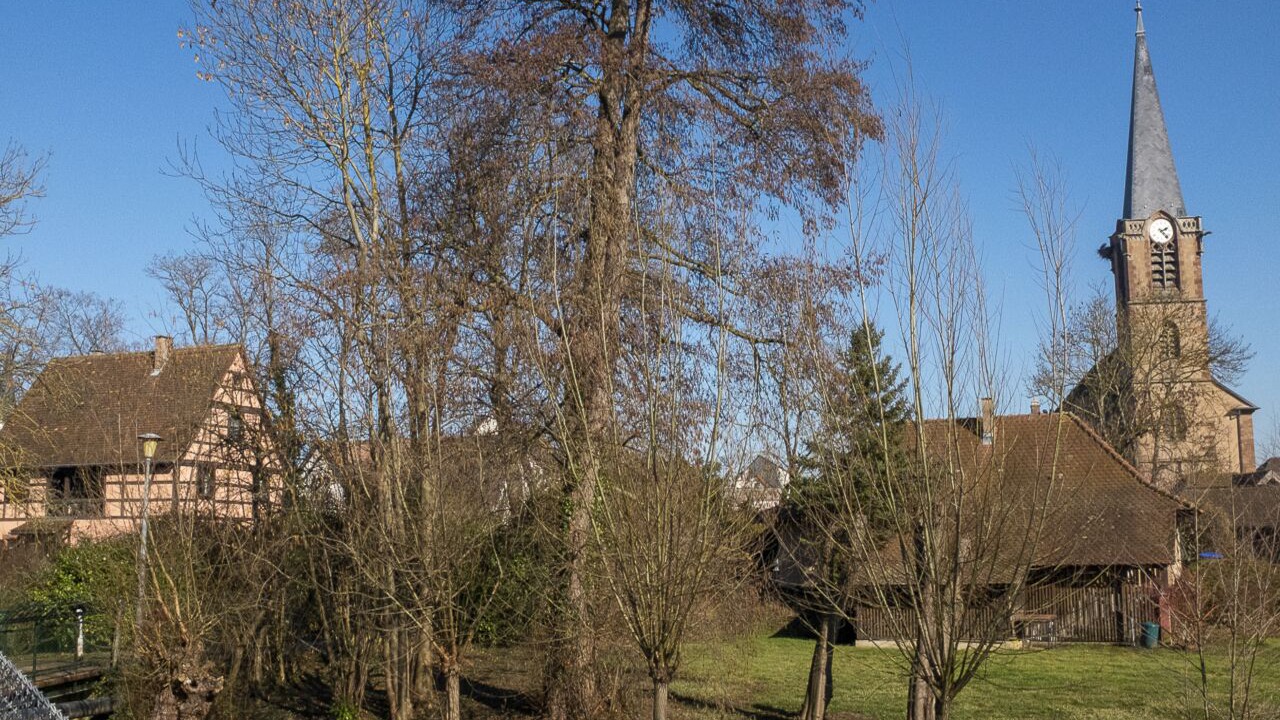Photo of Outdoor in Eckbolsheim